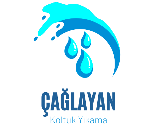 caglayankoltukyikama.com